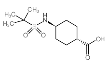 (1R,4r)-4-(1,1-二甲基乙基磺酰胺)环己烷羧酸结构式