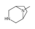 8-甲基-3,8-二氮杂双环[3.2.1]辛烷结构式