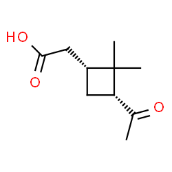 (1R)-3α-Acetyl-2,2-dimethylcyclobutane-1α-acetic acid结构式