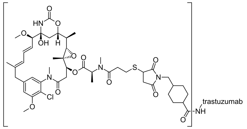 Trastuzumab emtansine Structure