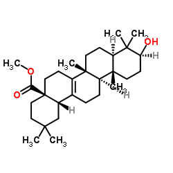 Pyrocincholic acid methyl ester结构式
