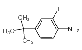 4-叔丁基-2-碘苯胺结构式