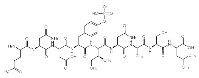 H-谷氨酸-天冬酰胺-天冬氨酸-酪氨酸-异亮氨酸-天冬酰胺-丙氨酸-丝氨酸-亮氨酸-OH结构式