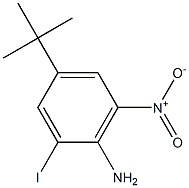 4-tert-Butyl-2-iodo-6-nitro-phenylamine Structure