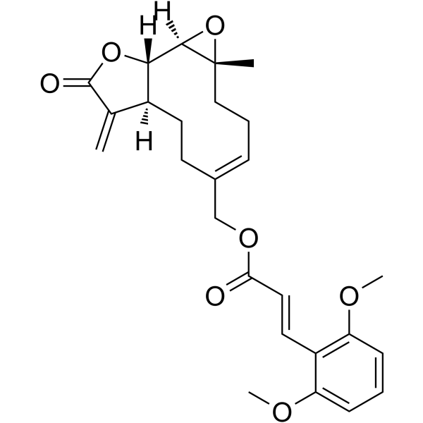2289585-58-4 structure