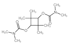 Carbamic acid,dimethyl-, 2,2,4,4-tetramethyl-1,3-cyclobutylene ester, cis- (8CI) picture