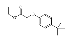 ethyl [4-(1,1-dimethylethyl)phenoxy]acetate结构式