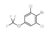 2-bromo-1,3-dichloro-5-(trifluoromethoxy)benzene Structure