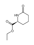 (S)-6-oxo-piperidine-2-carboxylic acid ethyl ester结构式