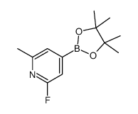 2-Fluoro-6-methylpyridine-4-boronic acid pinacol ester picture