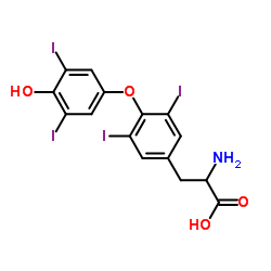 DL-Thyroxine Structure