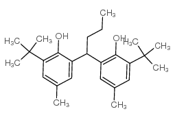 2,2’-丁叉双(6-叔丁基-4-甲基苯酚)结构式
