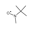 tert-Butyl methyl nitroxide Structure