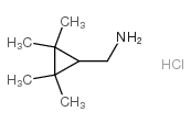 2,2,3,3-四甲基-环丙烷甲胺结构式
