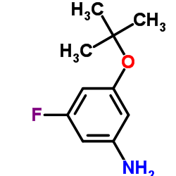 3-叔丁氧基-5-氟苯胺结构式