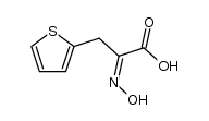 2-hydroxyimino-3-[2]thienyl-propionic acid Structure