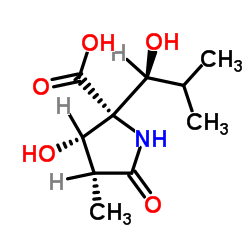 (3R,4s,5r)-4-羟基-5-[(1s)-1-羟基-2-甲基丙基]-3-甲基-2-吡咯烷酮-5-羧酸结构式