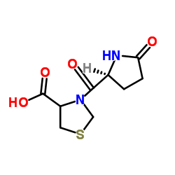 [S-(R*,S*)]-3-[(5-Oxo-2-pyrrolidinyl)carbonyl]-4-thiazolidinecarboxylic acid Structure