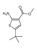 2-氨基-5-叔丁基噻吩-3-甲酸甲酯结构式