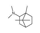 N,N,1,7,7-Pentamethylbicyclo[2.2.1]heptan-2-amine结构式