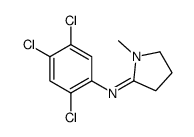 1-methyl-N-(2,4,5-trichlorophenyl)pyrrolidin-2-imine结构式