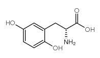 (R)-2-氨基-3-(2,5-二羟基苯基)丙酸结构式
