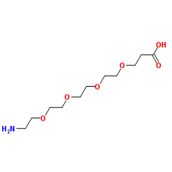 NH2-PEG4-CH2CH2COOH Structure