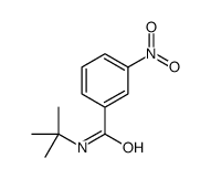 N-(tert-butyl)-3-nitrobenzamide结构式