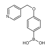 4-(Pyridin-4-ylmethoxy)phenylboronic acid Structure