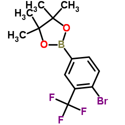 4-Bromo-3-(trifluoromethyl)phenylboronic acid pinacol ester Structure