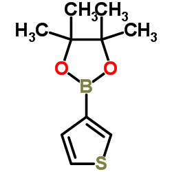 3-(4,4,5,5-四甲基-1,3,2-二氧杂硼烷-2-基)噻吩图片