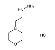 1-(2-Morpholinoethyl)hydrazine hydrochloride Structure