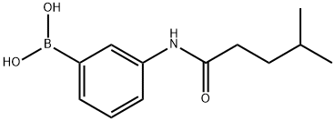 3-(4-methylpentanamido)phenylboronic acid Structure