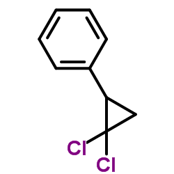 (2,2-dichlorocyclopropyl)benzene structure