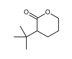 3-tert-butyloxan-2-one Structure