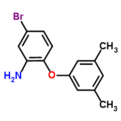 5-Bromo-2-(3,5-dimethylphenoxy)aniline Structure