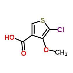 2-氯-3-甲氧基噻吩-4-羧酸结构式