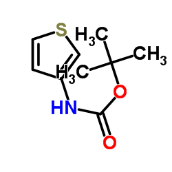 N-Boc-3-氨基噻吩结构式