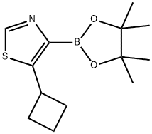 5-(Cyclobutyl)thiazole-4-boronic acid pinacol ester结构式