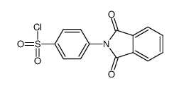 4-(1,3-dioxoisoindol-2-yl)benzenesulfonyl chloride结构式