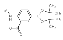 4-甲氨基-3-硝基苯硼酸频哪醇酯结构式