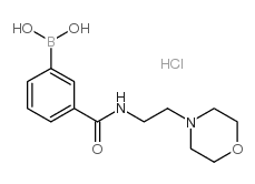 3-[2-(4-吗啉基)乙基氨甲酰基]苯硼酸盐酸盐结构式