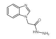 2-(1H-苯并咪唑-1-基)乙酰肼结构式
