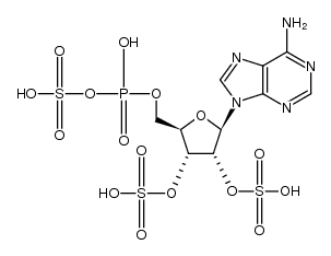 O5'-(hydroxy-sulfooxy-phosphoryl)-O2',O3'-disulfo-adenosine结构式