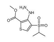 3-肼基-4-(异丙基磺酰基)噻吩-2-羧酸甲酯结构式