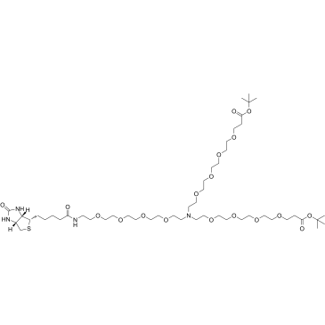 N-(Biotin-peg4)-n-bis(peg4-t-butyl ester) Structure