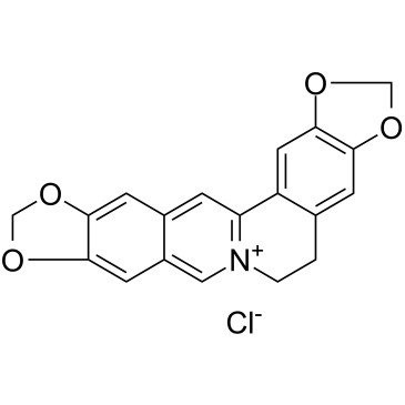 Pseudocoptisine chloride structure