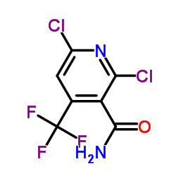 2,6-DICHLORO-4-(TRIFLUOROMETHYL)NICOTINAMIDE结构式