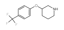 3-(4-(三氟甲基)苯氧基)哌啶结构式