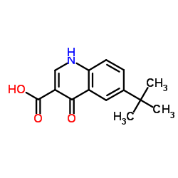 6-tert-Butyl-4-hydroxy- quinoline-3-carboxylic acid structure
